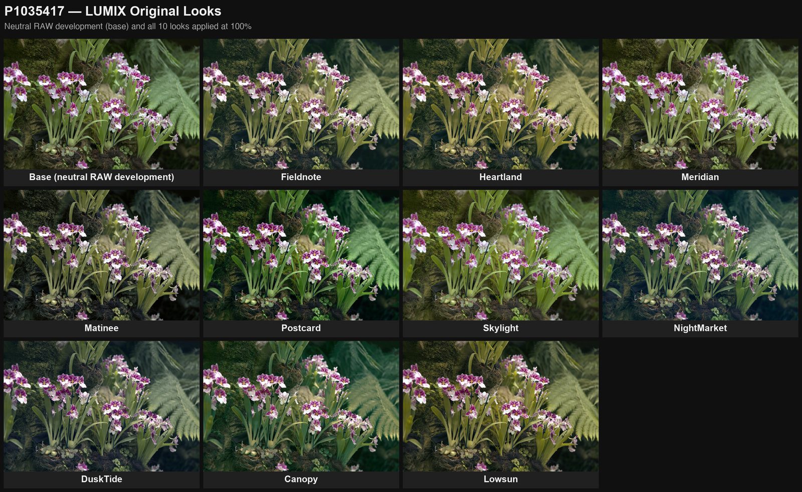 Greenhouse florals, full set